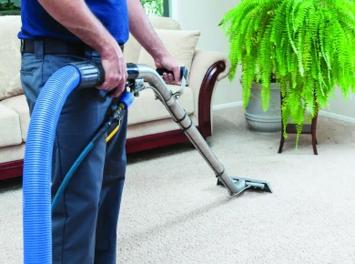 Carpet Cleaning