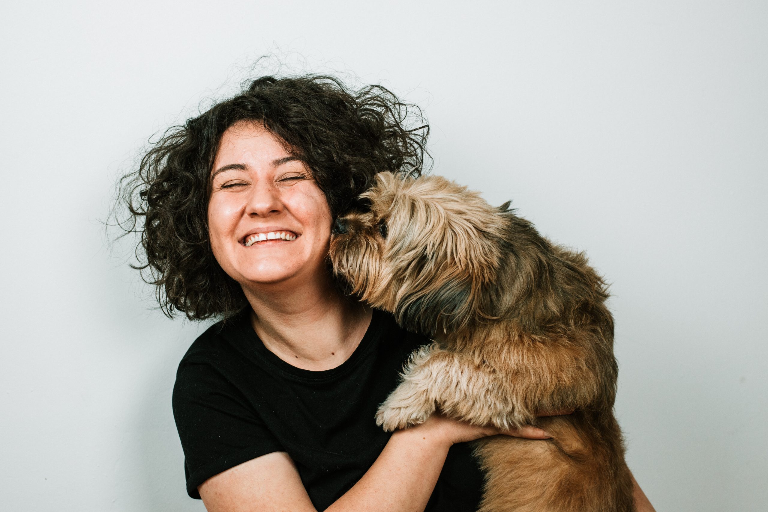 The Easiest Ways To Remove Dog Hair From Your Couch - My Brown Newfies