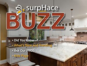 SurphaceBUZZ